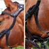 Freedom Bridle - Image 4