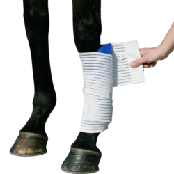 Kryo Kompakt cold wrap bandage from Stübben