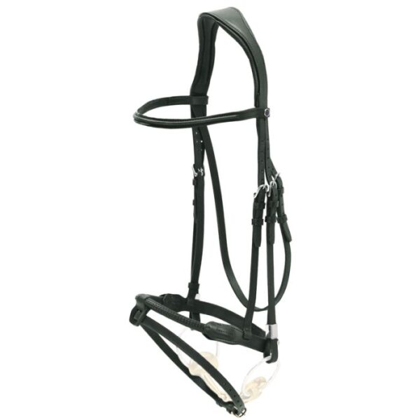 Pro Jump Bridle
