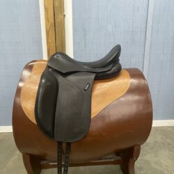 D Euphoria Deluxe *17.5"/27cm*