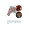 Freedom II - MagicTack Bridle - Image 7