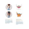 Freedom II - MagicTack Bridle - Image 8