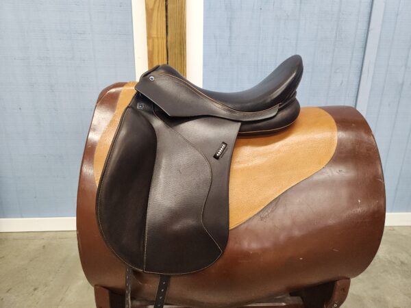 D Euphoria *17.5"/29cm*