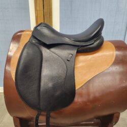 D Euphoria *17.5"/27cm*