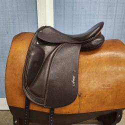 Focus Icelandic *18"/30cm*