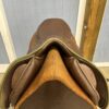 S Phoenix Elite Deluxe 17"/28cm - Image 7