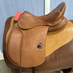 D 1894 17.5"31cm Short Flap
