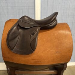 S Phoenix Elite *18"/28cm*