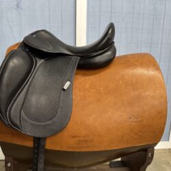D Aramis Grand Prix *17"/29cm*